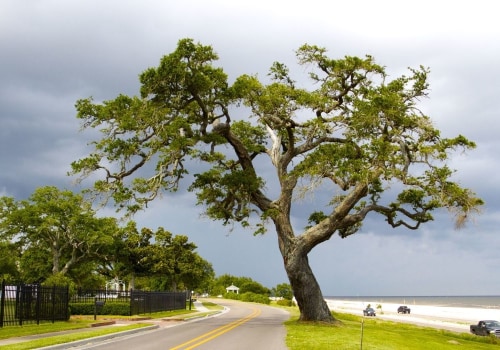 The Ultimate Guide to Finding the Perfect Accommodations for Air Shows in Southern Mississippi